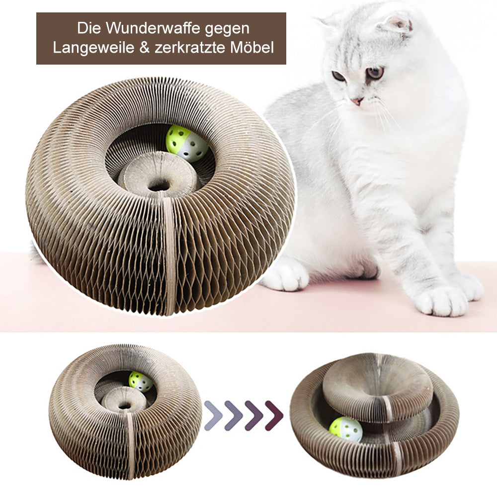 Katzen Scratchy