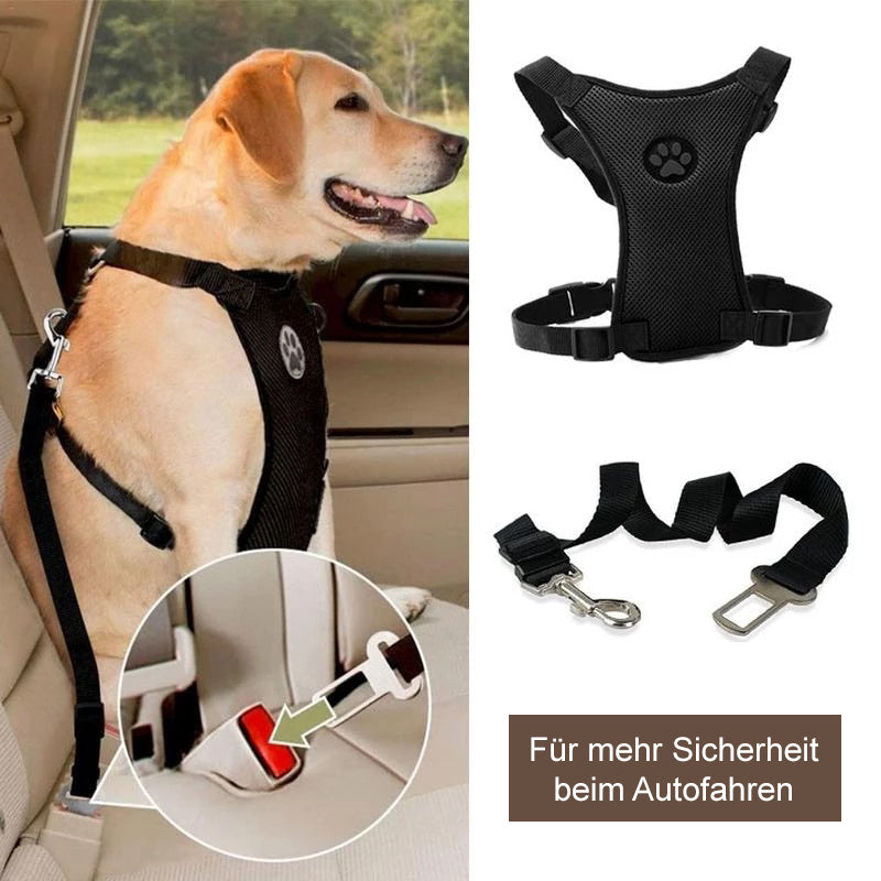 Auto Sicherheitsgurt inkl. Brustgeschirr – Hundewelt24