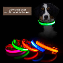 Lade das Bild in den Galerie-Viewer, Leuchtendes LED Halsband
