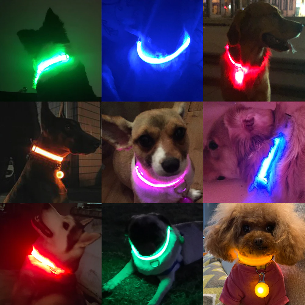Leuchtendes LED Halsband  Hundewelt24