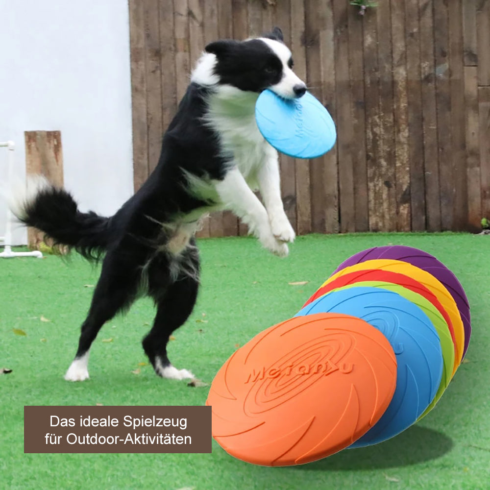 Hunde Frisbee für Discdogging