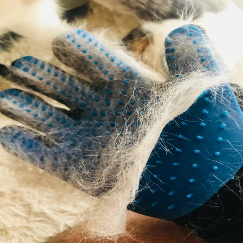 handschuh für fellpflege Fellpflege Handschuh – Hundewelt24