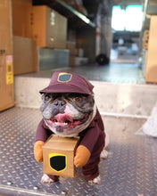 Lade das Bild in den Galerie-Viewer, Hunde Kostüm für Halloween und Weihnachten
