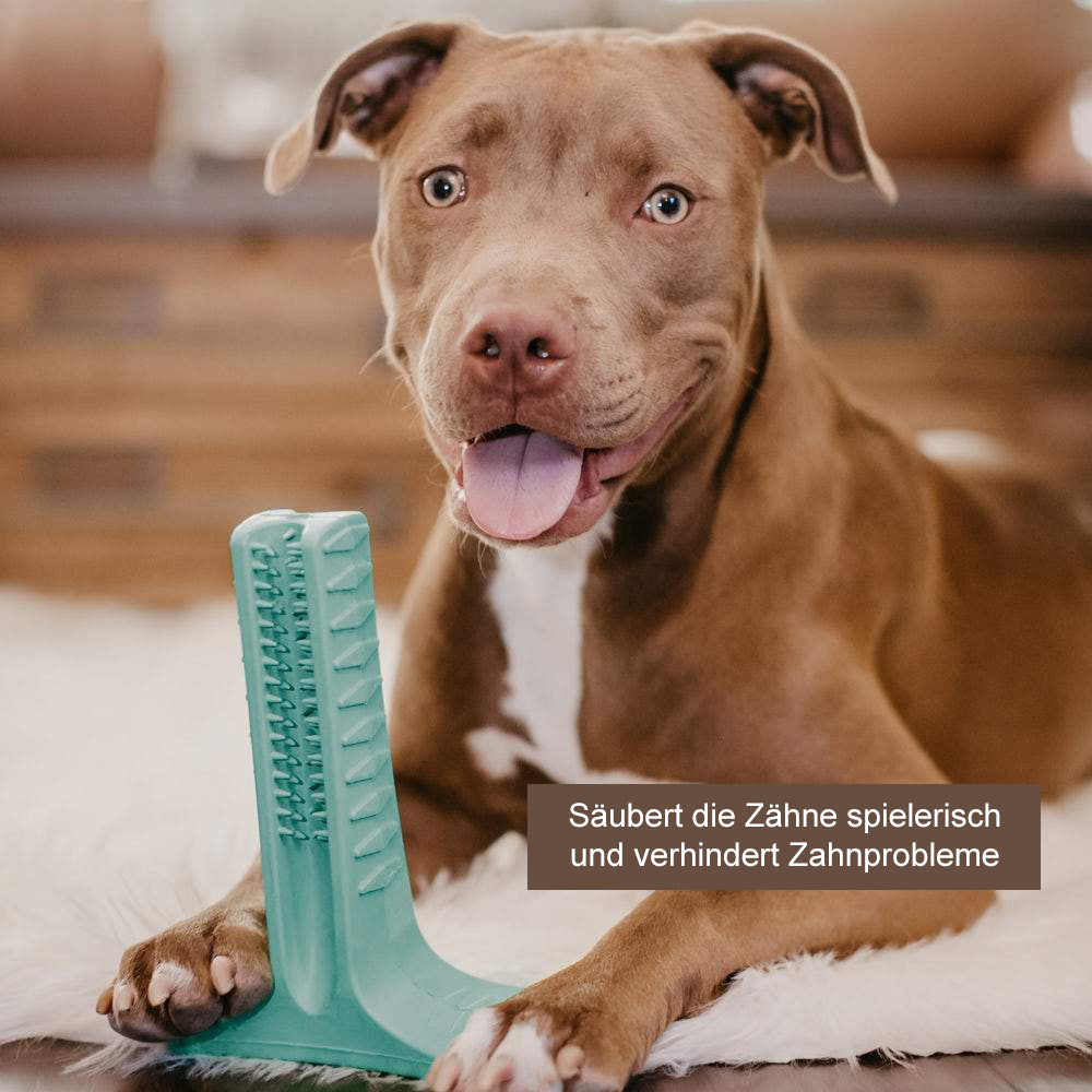 Hunde Zahnbürste